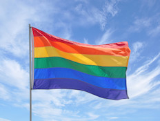 The rainbow flag of the gay pride movement.
