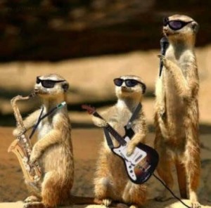 The Prairie Dog Three are currently on tour in Utah and New Mexico.