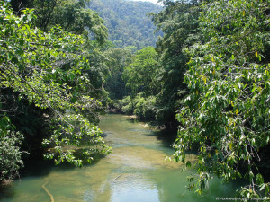 Rio Sarstun Guatemala river