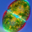 one cell algae 3