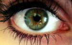 UNDER SURVEILLANCE AT WORK AND PLAY