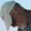 cropped-Dad-me-Bill-Naples-bow-with-hat-square-for-blog.jpg